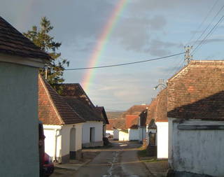 Winzerhof Schönhofer aus Zellerndorf