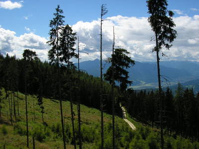 Bild 176 aus  Bacherhof