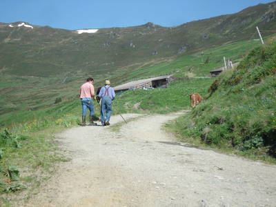 Bild 31 aus  Lichteben