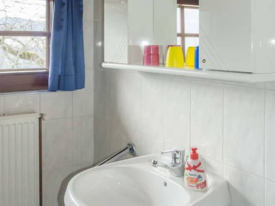 Bild 150 aus  Sank Haus - Alte Mühle