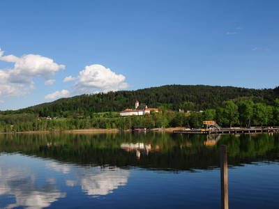 Bild 81 aus  Familie Pichler