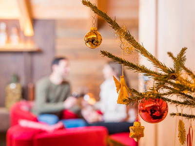 Bild 42 aus  Bergchalet Kuhgraben