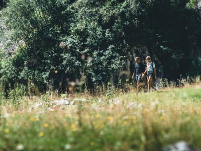Bild 135 aus  Enzianhütte im Habachtal