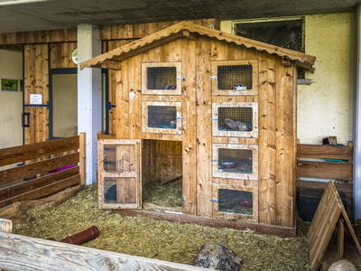 Bild 103 aus  Oberegghof