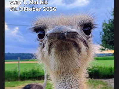 Bild 2 aus  Blickfang Bregenzerwald