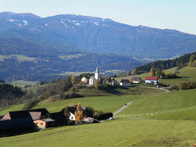Bild 2 aus  Biobauernhof 'Moar in Greith'