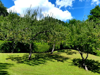 Bild 108 aus Arlitscherhof