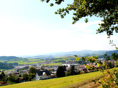 Bild 38 aus Biobauernhof Leitner Zizlbauer