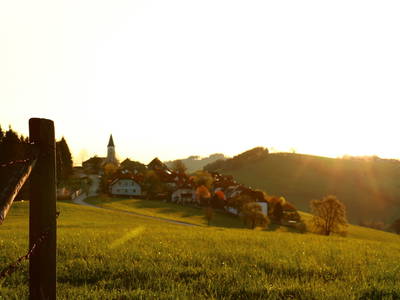 Bild 2 aus  Miniponyhof Biohof Almbauer