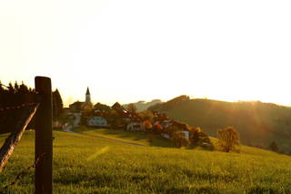 Miniponyhof Biohof Almbauer aus Waidhofen an der Ybbs