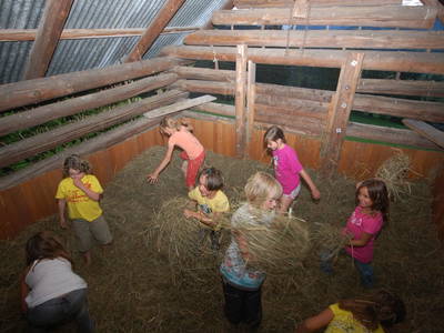 Bild 25 aus Kinderbauernhof Maurachhof
