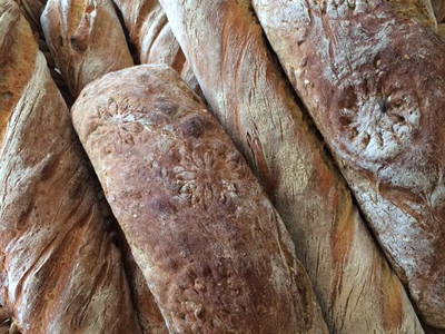 Bild 46 aus  Familienbauernhof Winkelhof