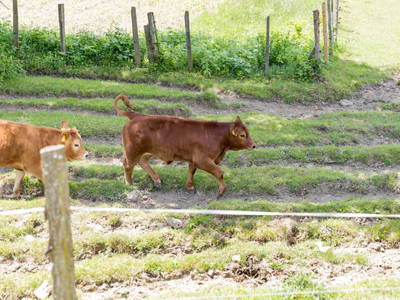 Bild 26 aus  Weberhof