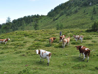 Bild 59 aus  Erlachhof