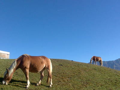 Bild 101 aus  Haus Bernardes