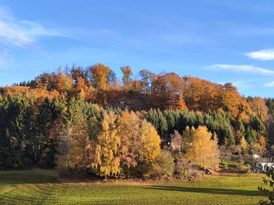 Bild 107 aus  Obergrafenberger