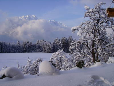 Bild 36 aus  Brandstatt