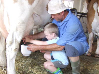 Bild 27 aus  Sportbauernhof Hochalmblick