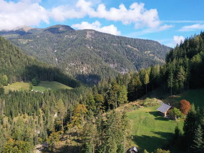 Bild 43 aus  Almhütte Meierle