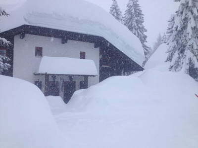 Bild 15 aus  Almhaus Gisela