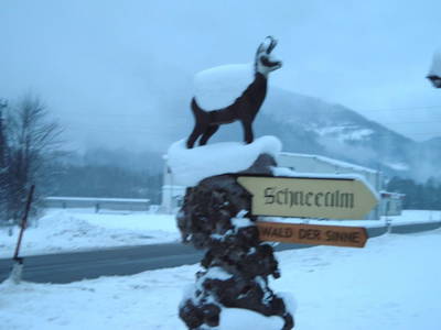 Bild 269 aus  Michlbauer