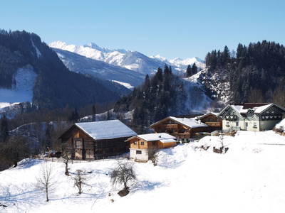 Bild 28 aus  Ferienhaus Pesbichl