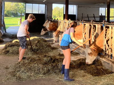 Bild 112 aus  Wittinghof