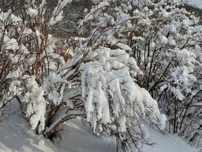 Bild 19 aus  Landhof Familie Weinbacher