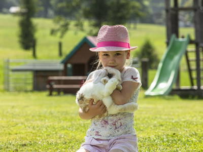 Bild 145 aus  Hoferbichlgut