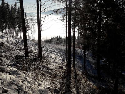 Bild 32 aus  BIO-Bergbauernhof Roath