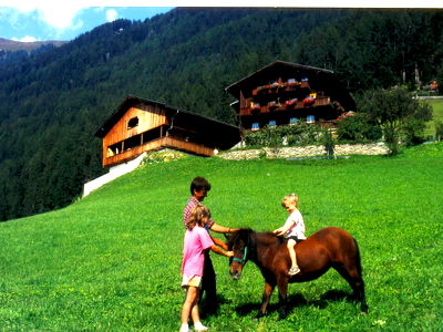Bild 95 aus Bauernhof Wachtlerhof
