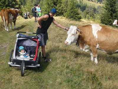 Bild 66 aus  Sportbauernhof Hochalmblick