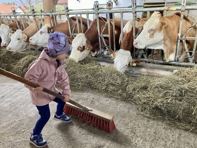 Bild 61 aus  Beim Leben