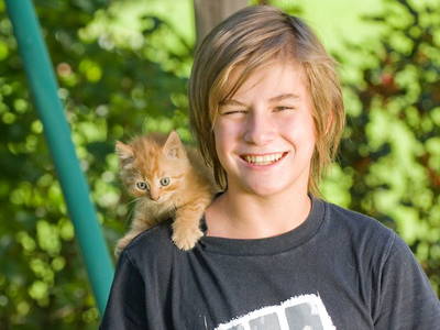 Bild 60 aus  Ladestatthof