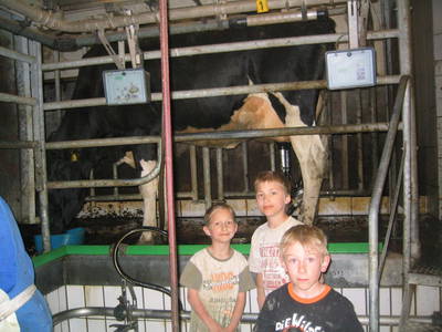 Bild 33 aus  Hof Lässer