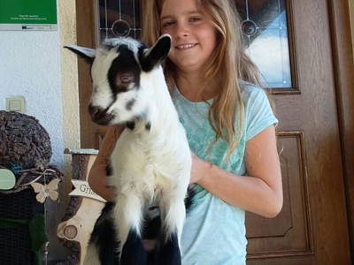 Bild 177 aus Bauernhof Schrott