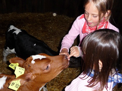 Bild 15 aus  Ferienhof Dingeldey