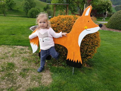 Bild 34 aus  Bauernhof Leonhartsberger "Fuchs"