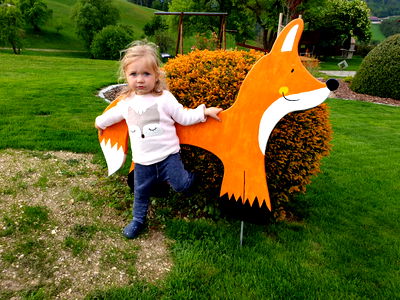 Bild 26 aus Bauernhof Leonhartsberger "Fuchs"