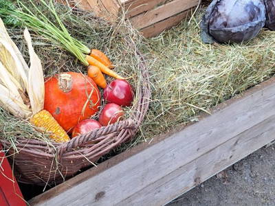 Bild 164 aus  Landhaus Zangerl - Kobelerhof