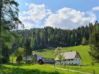 Bild 20 aus  Grubhofalm