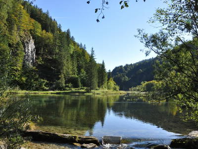 Bild 17 aus  Biobauernhof Mittermoos