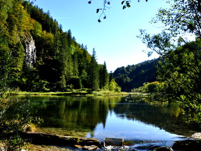 Bild 15 aus Biobauernhof Mittermoos