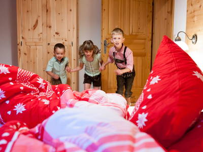 Bild 34 aus  Schmiedhofer