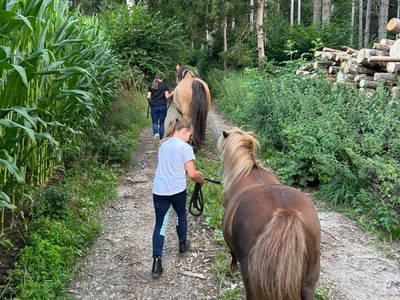 Bild 21 aus  Matlhof