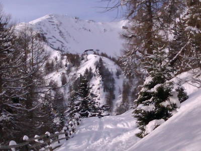 Bild 39 aus  Landhaus Taurer