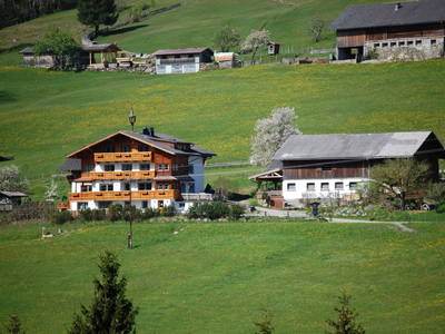 Bild 2 aus  Hocheggerhof