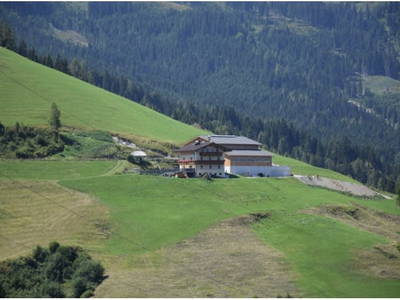 Bild 35 aus  Brennergut