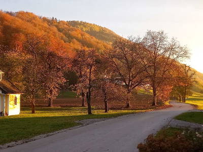 Bild 45 aus  Traunsee - Chalet am Götschhof