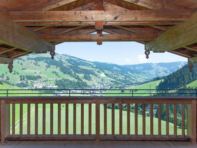 Bild 217 aus  Ferienwohnungen Perfeldhof